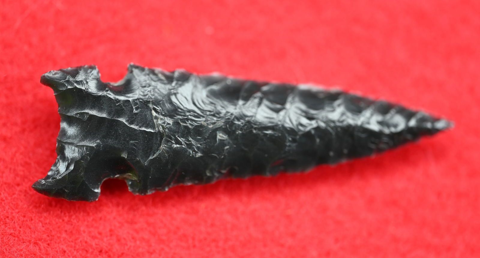 2 1/2" Obsidian Northern Side Notched Found in Harney County, Oregon by Venn Keeling.  Comes with a (1 of 10)