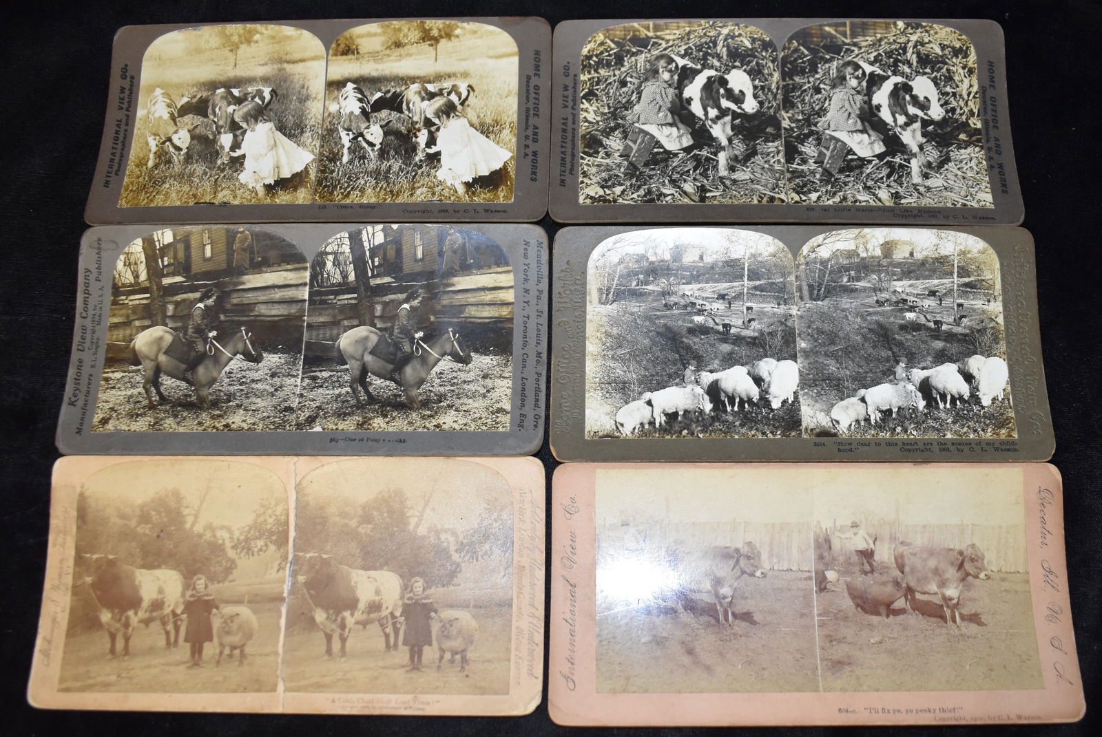 Collection of 8 Stereoscope Cards 1894-1903 - Children with Animals (1 of 8)