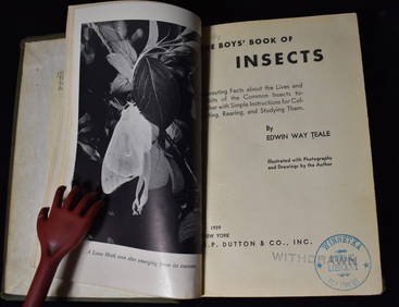 1939 The Boys' Book of Insects by Edwin Way Teale 1st Edition (1 of 5)