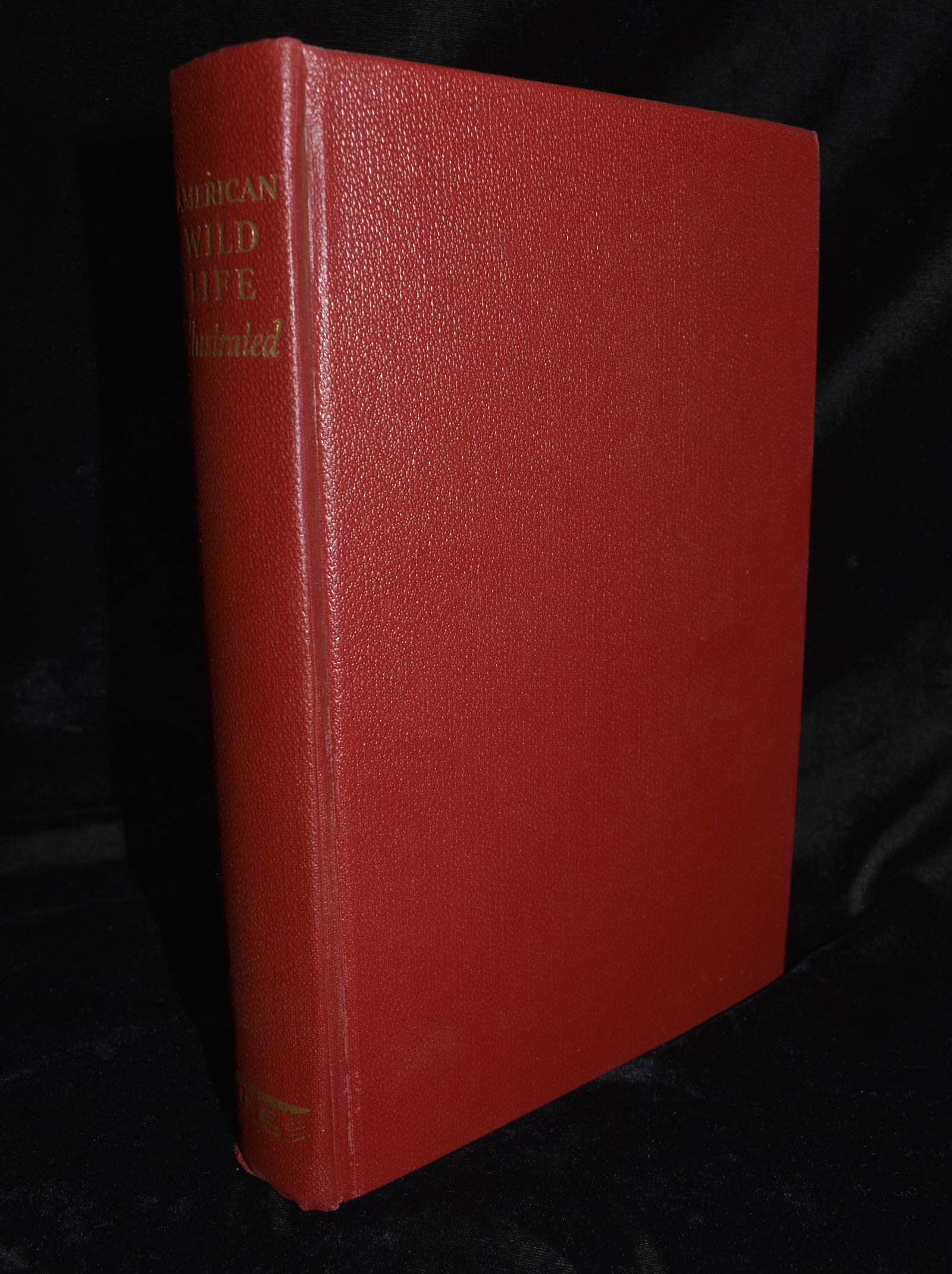 American Wild Life Illustrated 1954 (1 of 7)