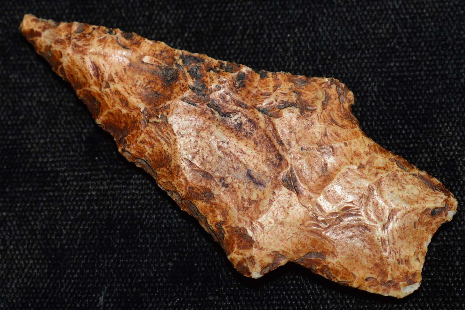 2 3/4" Adena Dickson found in Taney County, Missouri (1 of 7)