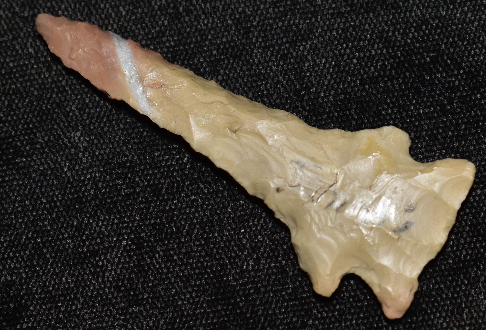 2 3/8" Pinetree Drill found in Tennessee w/ Partain COA (1 of 8)