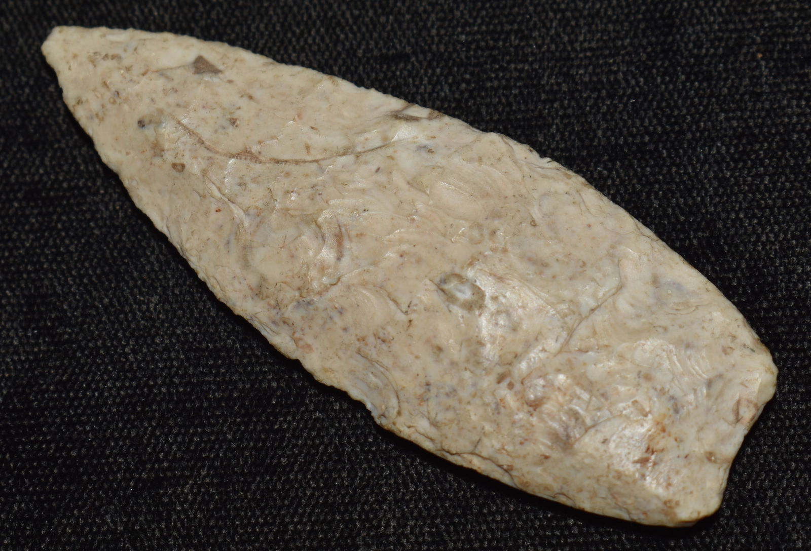 2 3/4" Angostura found in Franklin County, Missouri (1 of 7)