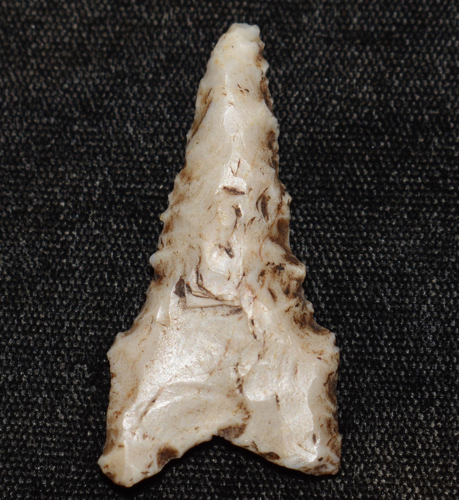 1 3/4" Dalton found in Missouri (1 of 7)