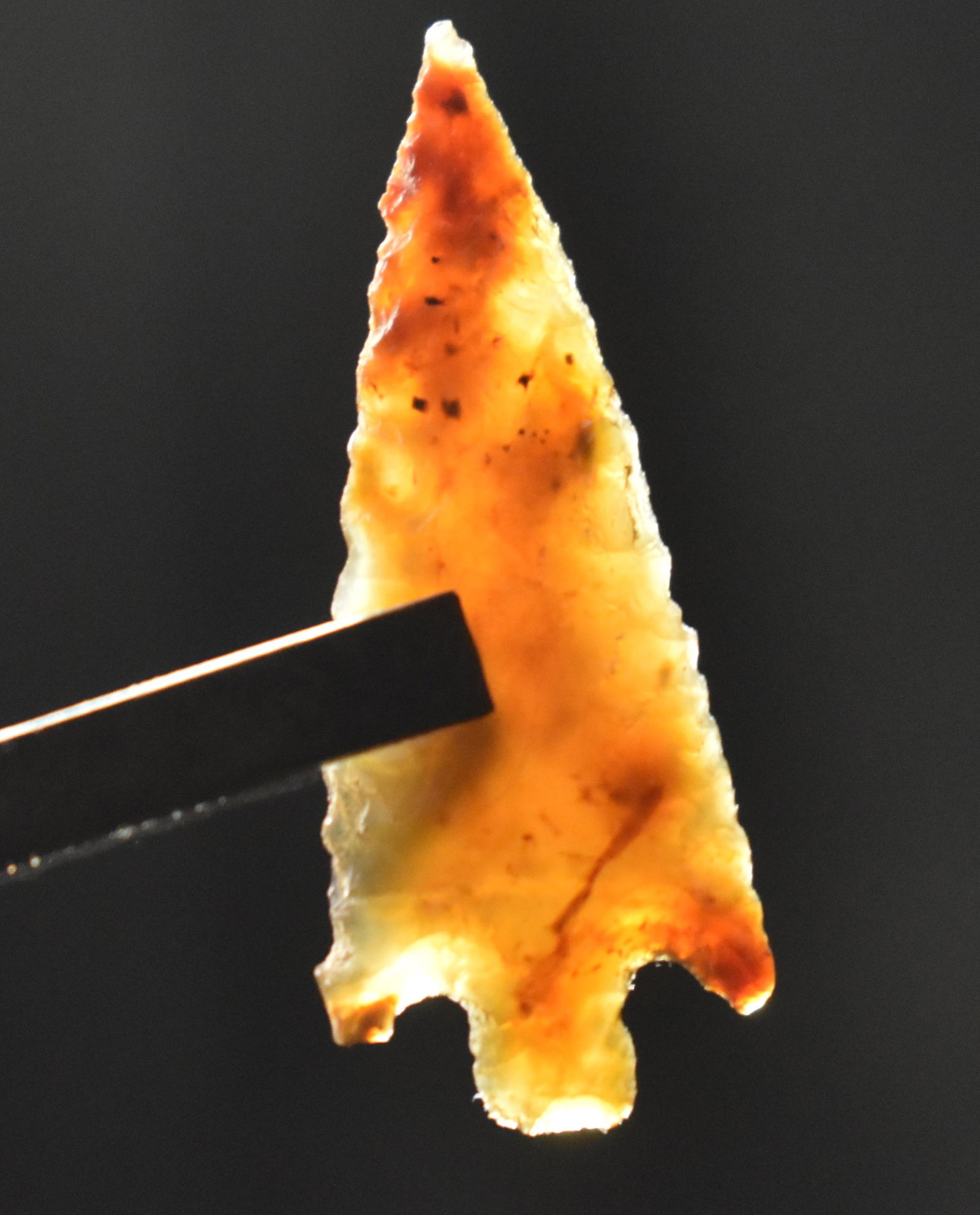 1 1/8" Finely Made Rose Spring Stemmed - Gem Point found in Oregon (1 of 8)