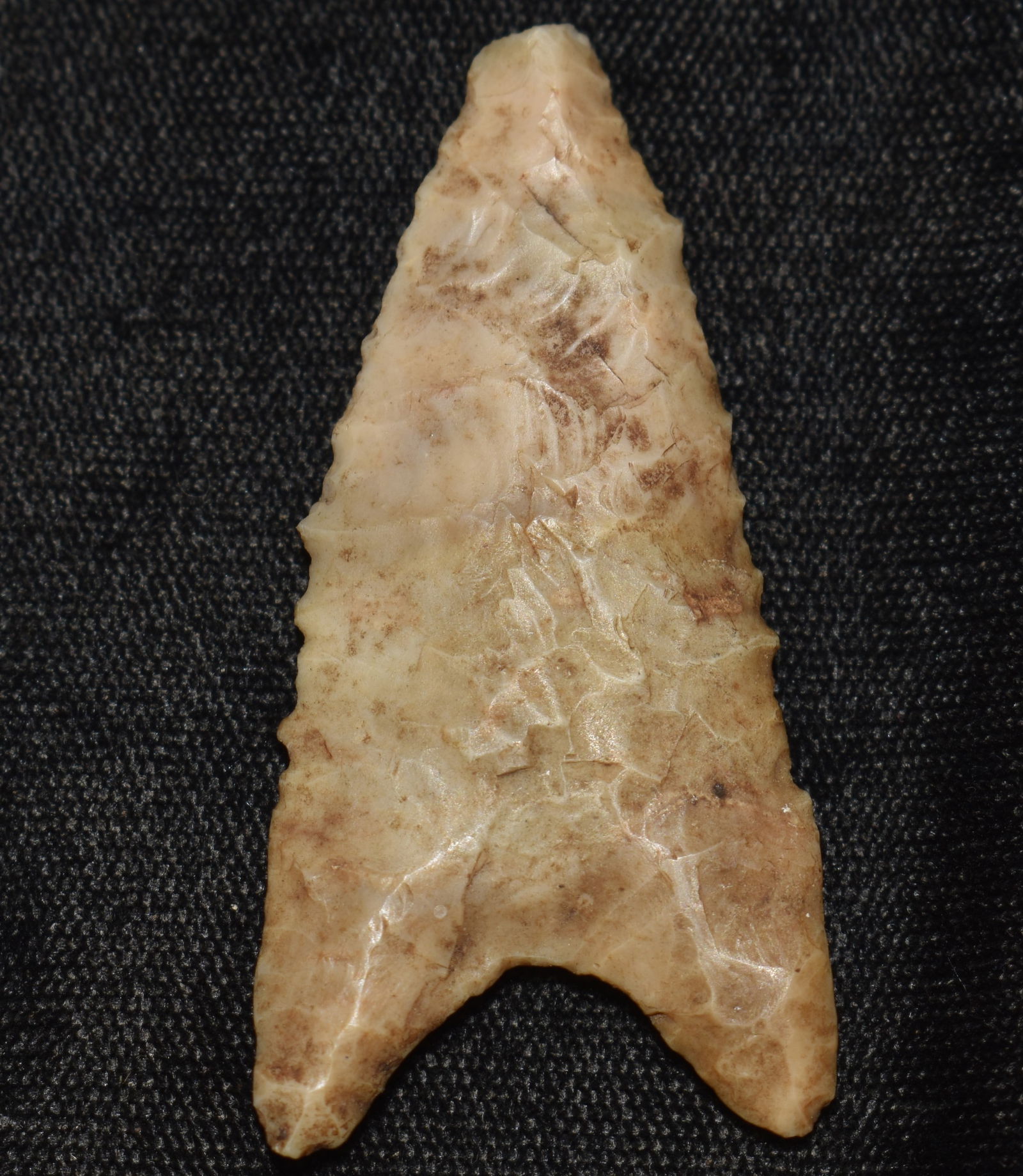 2 1/8" Dalton found in Montgomery County, Missouri (1 of 7)