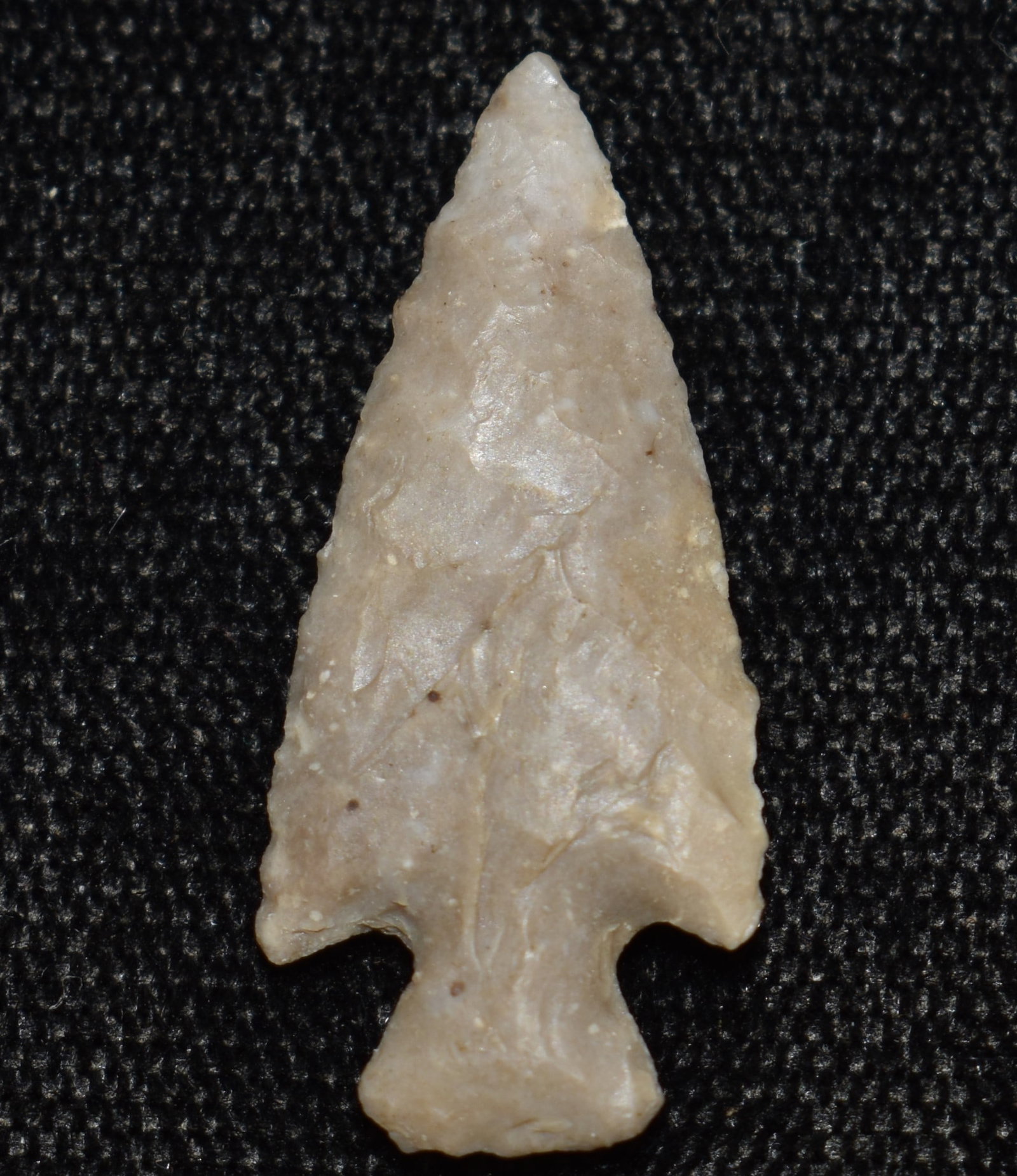 1 1/16" Finely Made Sequoyah or Scallorn Arrowhead found in Clark County, Missouri: 1 1/16" Finely Made Sequoyah or Scallorn Arrowhead found in Clark County, Missouri. From the life time collection of James Bond. Key words: Ancient, Prehistoric Native American Indian Artifacts, Arrow