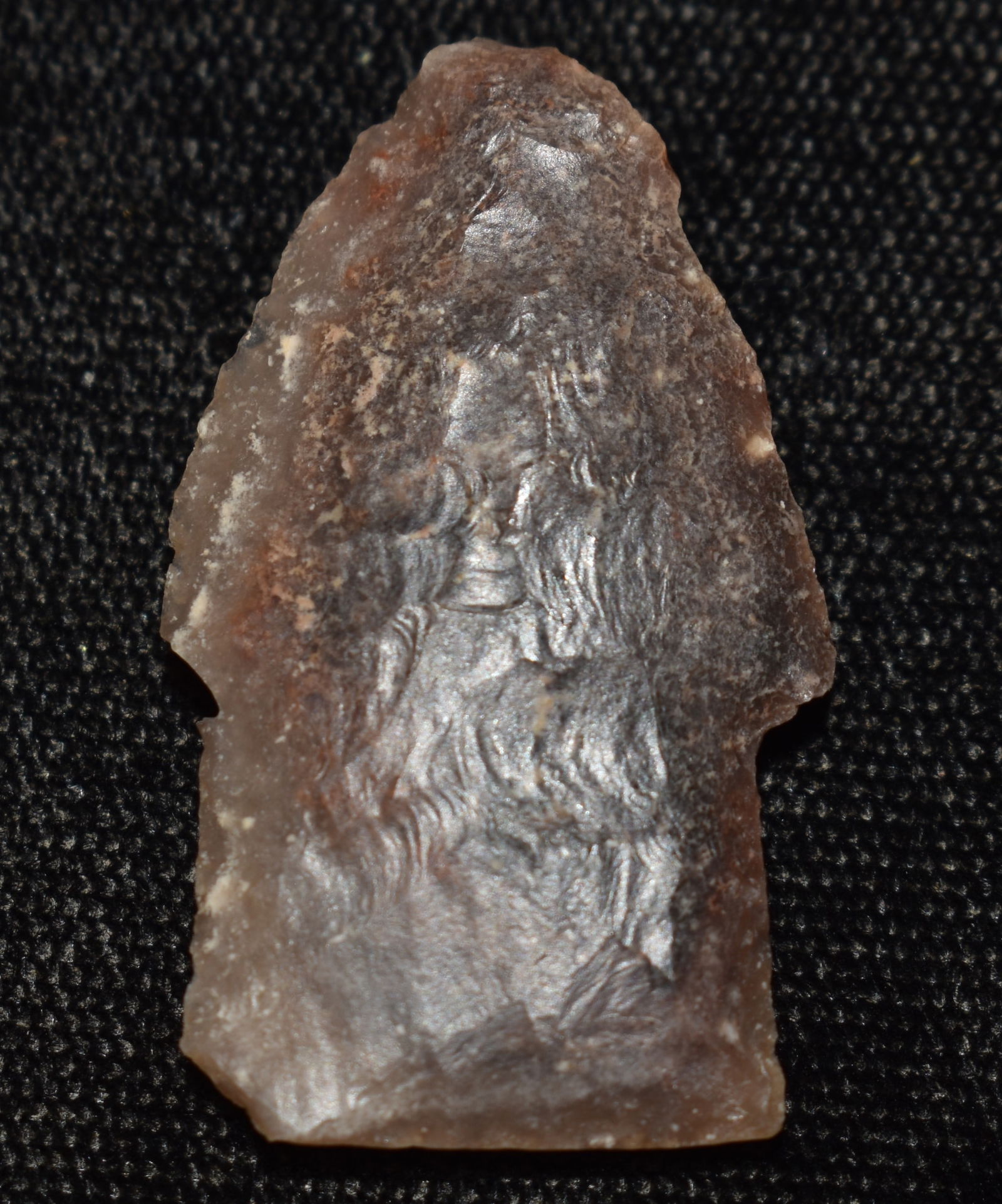 1 3/8" Cody Complex - Scottsbluff found in Cherry County, Nebraska w/ Rogers COA (1 of 9)