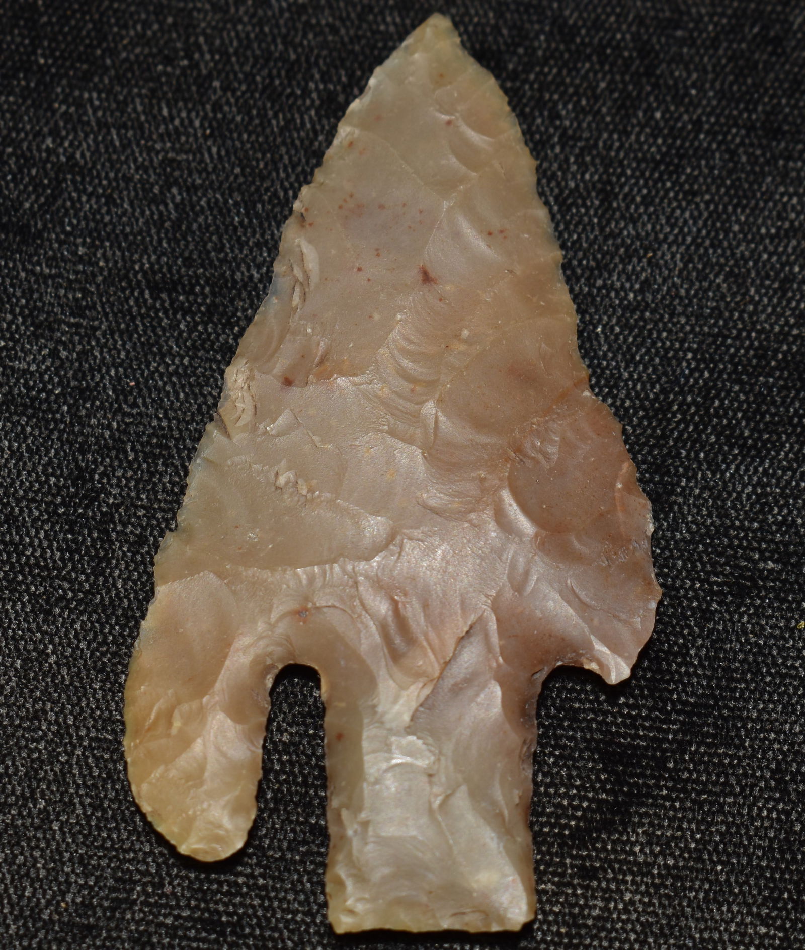 2 3/4" Andice found in Travis County, Texas w/ Keele COA (1 of 8)