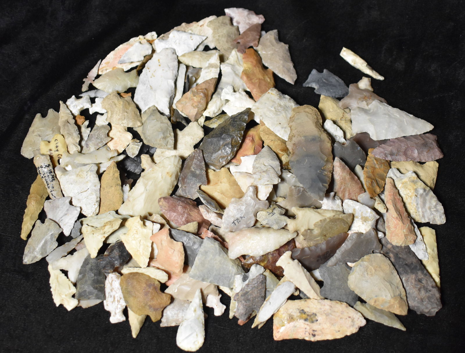 Pile of 170 Arrowheads from Across the United States (1 of 9)