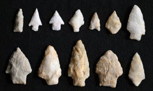 12 Quartz Arrowheads Found in South Carolina Longest is 2 3/4". (1 of 5)