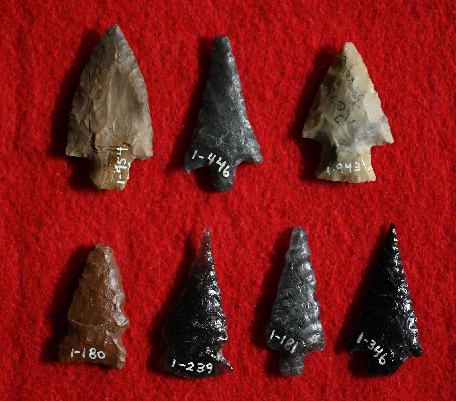 7 Bird Points Longest is 1 7/16"  Found by Venn Keeling in Lake Co. California on or near Bartlett (1 of 7)