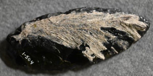 3 1/4" Obsidian Steamboat Lanceolate Found by Venn Keeling in Lake Co. California on or near: 3 1/4" Obsidian Steamboat Lanceolate Found by Venn Keeling in Lake Co. California on or near Bartlett Mountain in the early to mid 1900's. This collection was catalogued by Berkeley University. Key wo