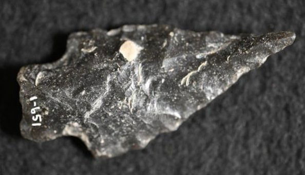 2 5/8" Obsidian Windust Found by Venn Keeling in Lake Co. California on or near Bartlett Mountain in (1 of 9)