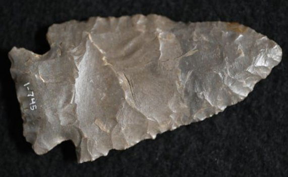 2 5/16" Obsidian Drill Found by Venn Keeling in Lake Co. California on or near Bartlett Mountain in: 2 5/16" Obsidian Drill Found by Venn Keeling in Lake Co. California on or near Bartlett Mountain in the early to mid 1900's. This collection was catalogued by Berkeley University.