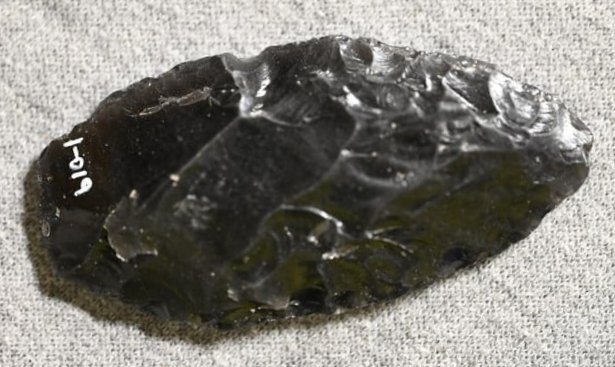 2 9/16" Obsidian Owl Cave Found by Venn Keeling in Lake Co. California on or near Bartlett Mountain: 2 9/16" Obsidian Owl Cave Found by Venn Keeling in Lake Co. California on or near Bartlett Mountain in the early to mid 1900's. This collection was catalogued by Berkeley University.