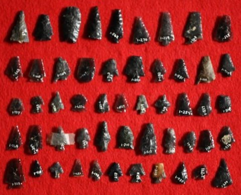 50 Bird Point Arrowheads Most Damaged, Longest is 1 5/16" Found by Venn Keeling in Lake Co. (1 of 8)