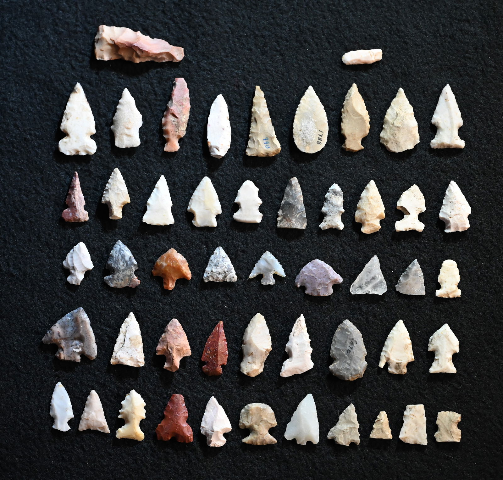 50 Bird Points Modern Made or Re-Chipped Longest is 1 7/16". (1 of 7)