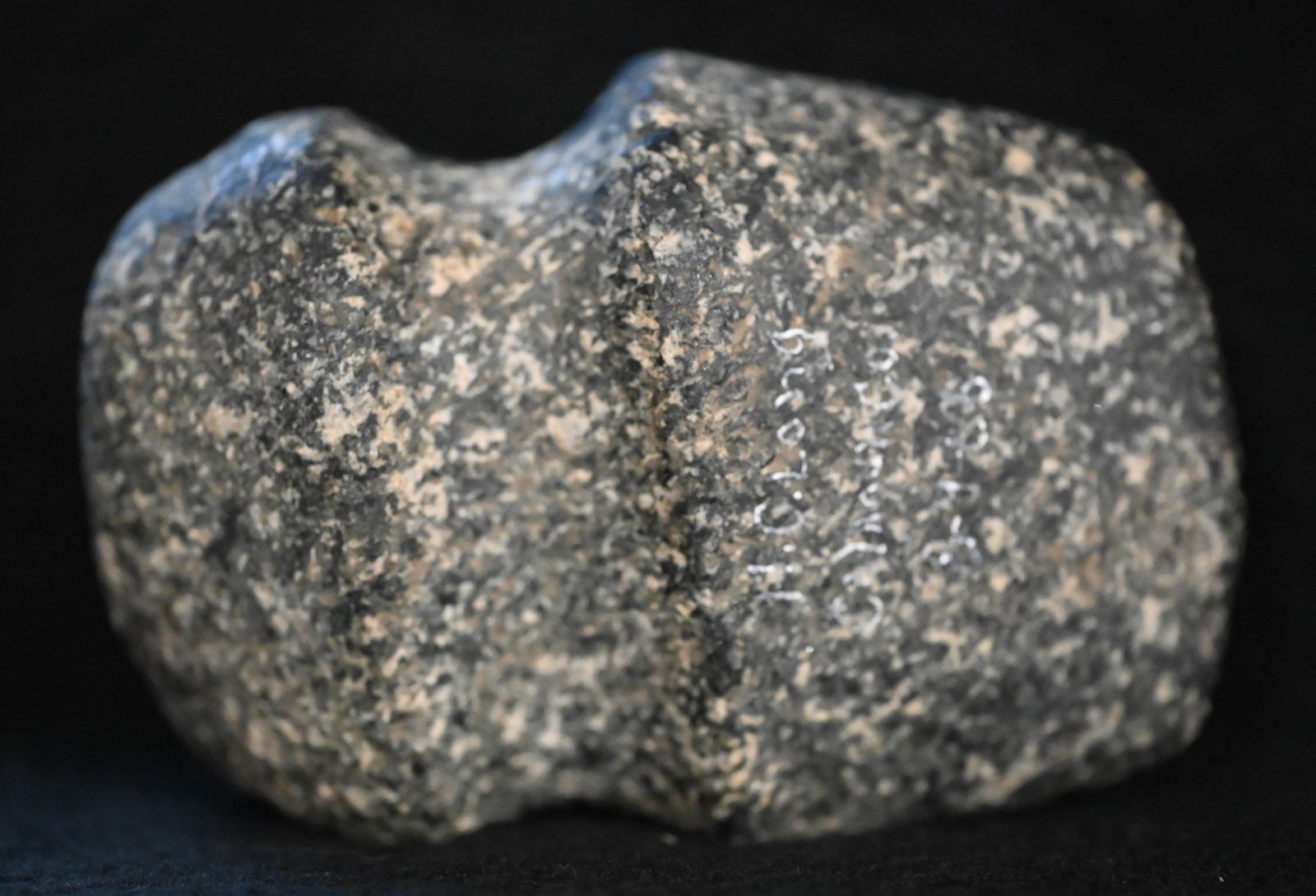 4 1/16" Speckled Granite 3/4 Groove Axe W/ Ryan Keele COA Found in Calhoun Co. Illinois Ex: Kermit (1 of 10)