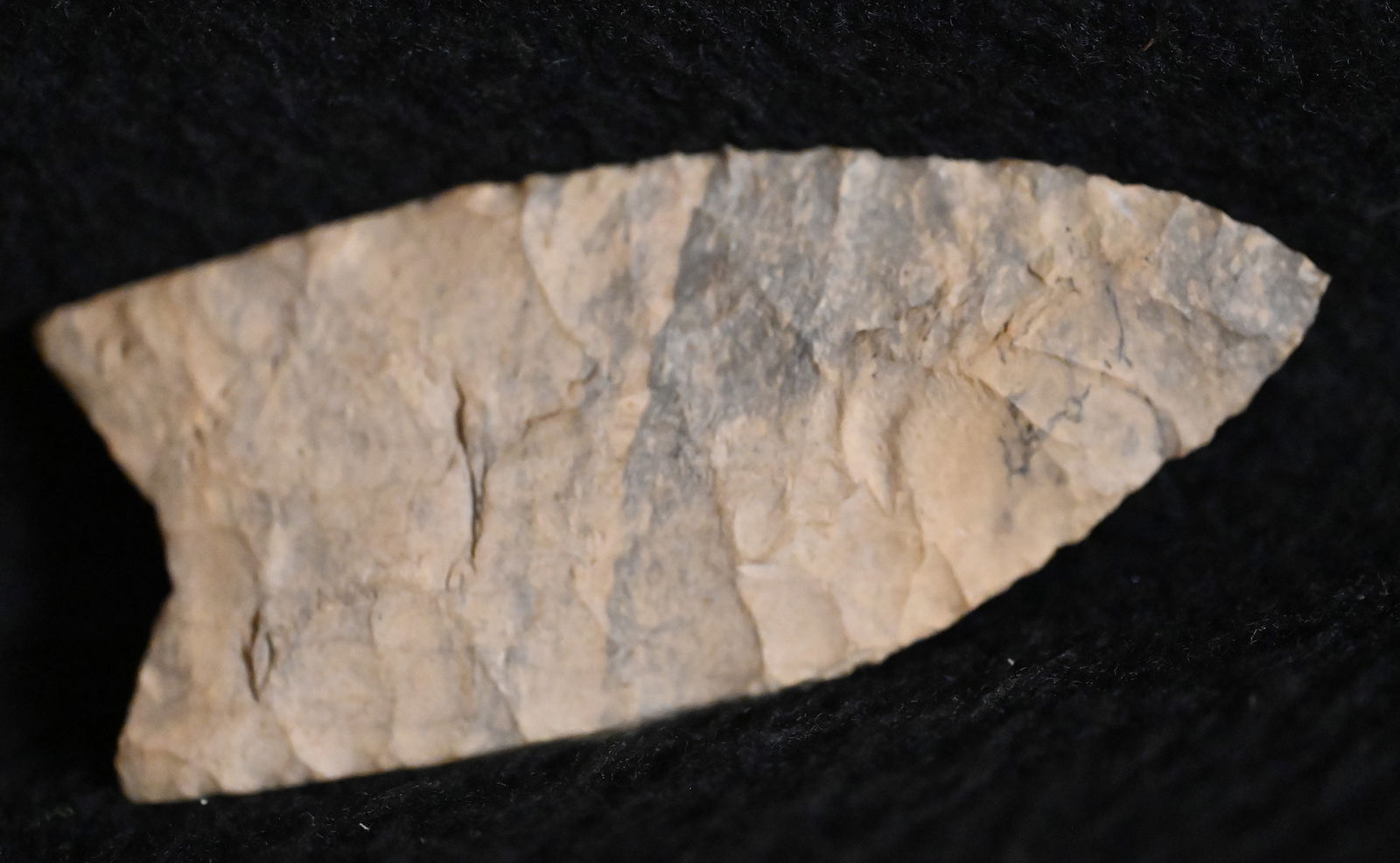 2 15/16" Clovis/Paleo Lance - Modern Made w/ 2 COA's Bennett & Putty COA's Calling it Authentic (1 of 12)