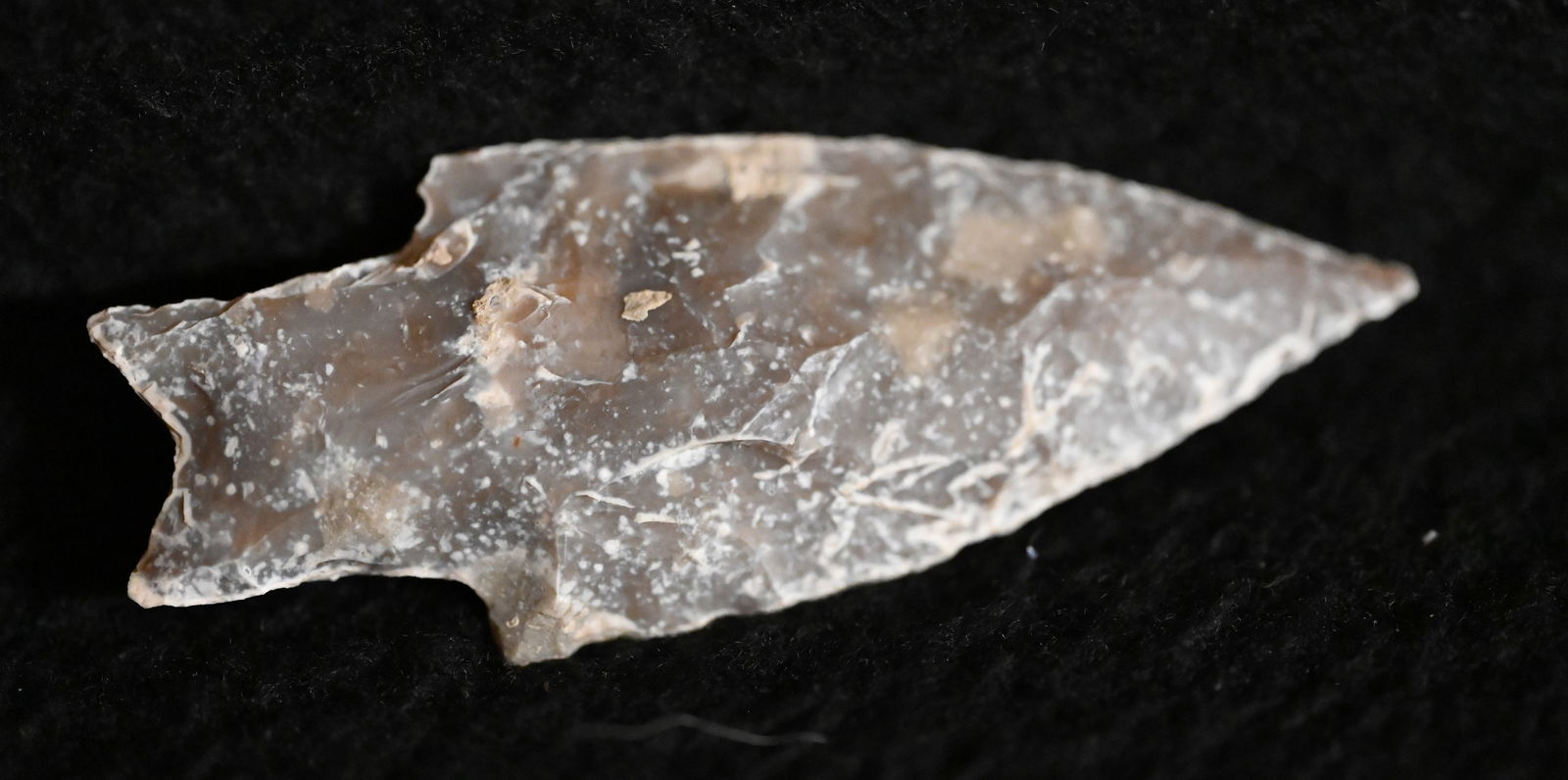 2 15/16" Pedernales Found in Texas with Ryan Keele COA Ex: Walt McIntyre Collection. (1 of 11)