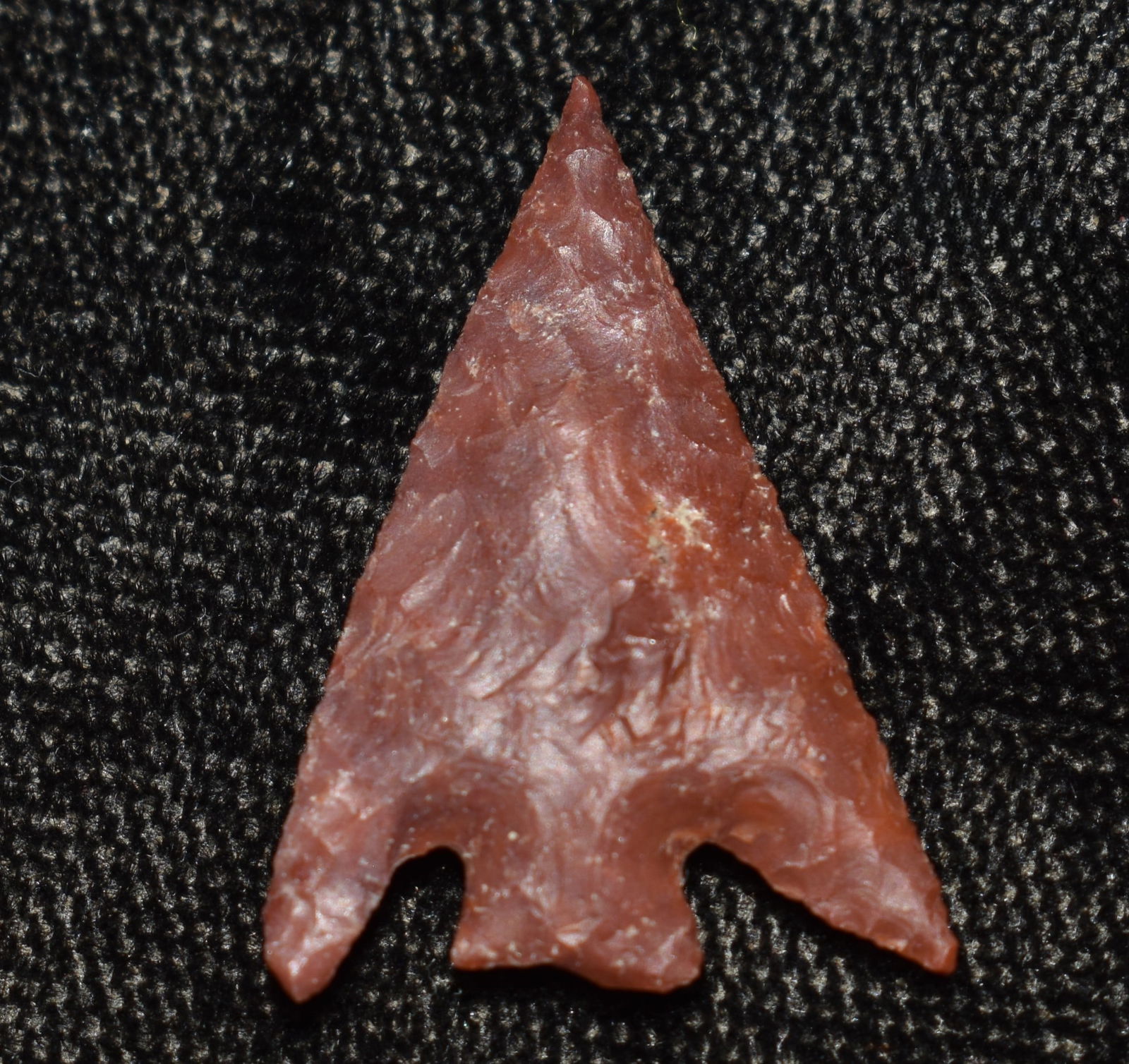 15/16" Columbia Plateau Arrowhead found near Kamiah, Idaho (1 of 10)