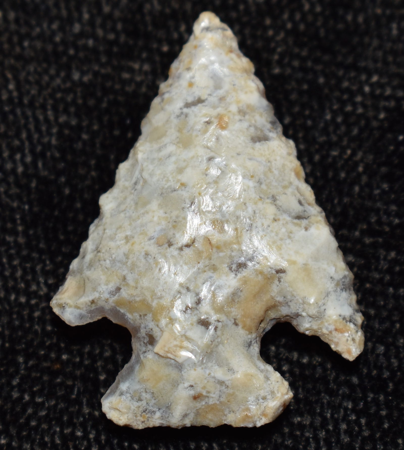 1" Rose Springs Corner Notch Gem Point found near Kamiah, Idaho (1 of 7)