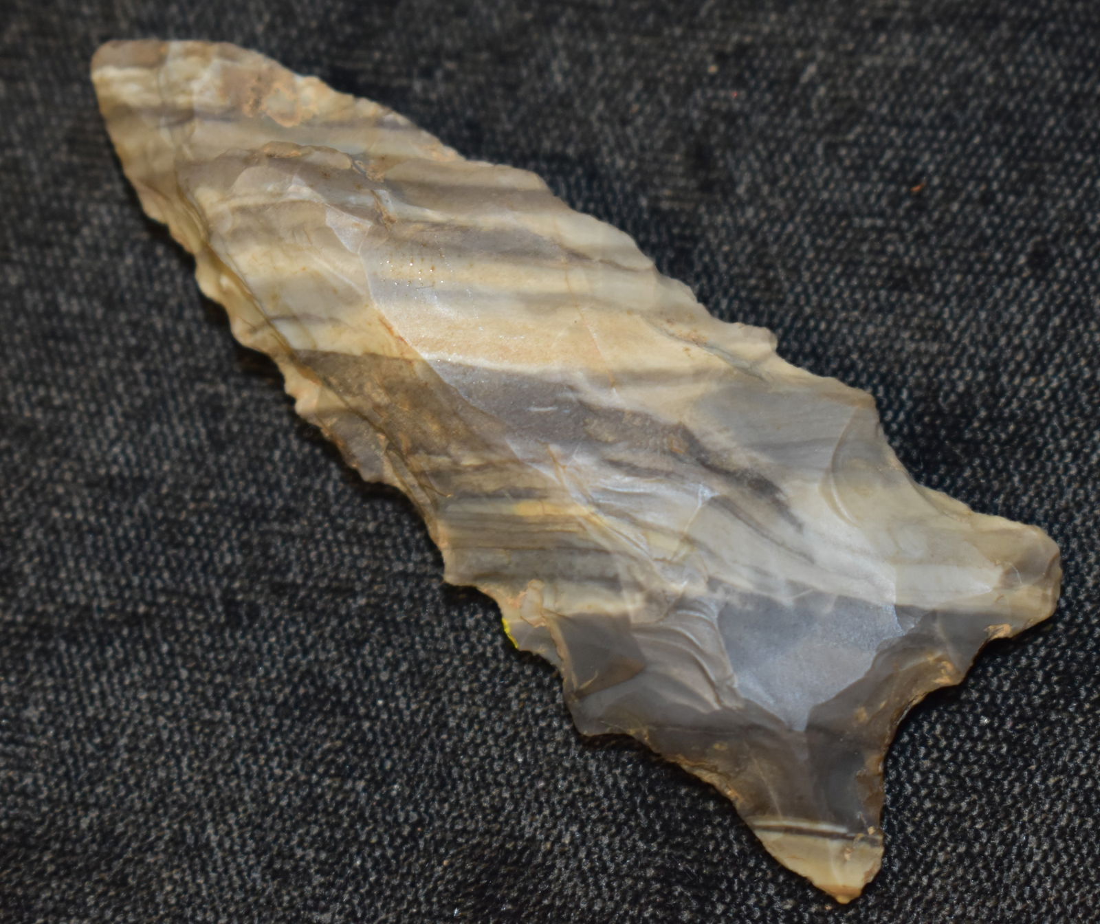 2 1/2" Banded Mozarkite Rice Lobbed Arrowhead found in Pettis County, Mo (1 of 7)