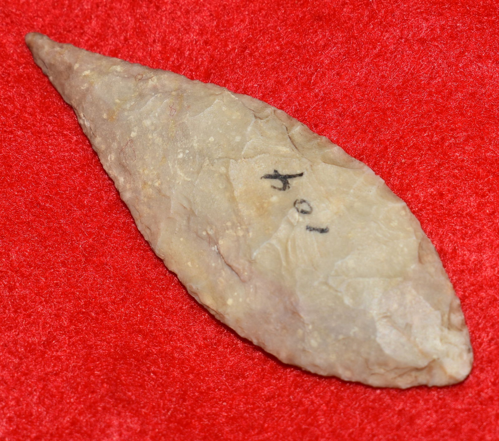 2 5/16" Exceptional Neolithic Willow Leaf Arrowhead Found in Africa.  The 4" x 6" Case is included. (1 of 7)