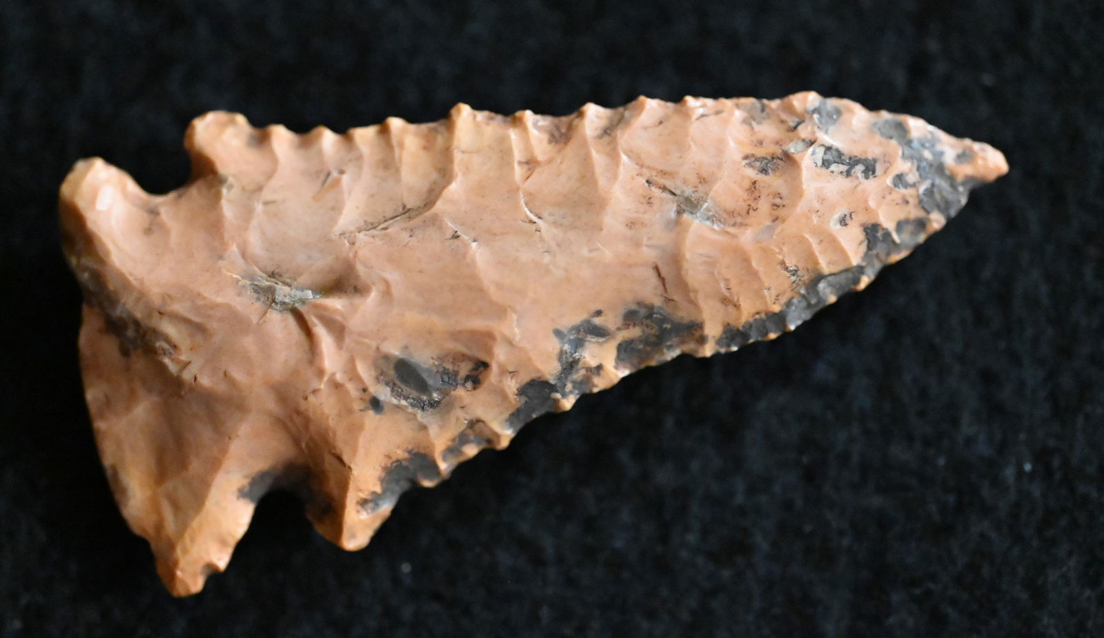 2 3/16" Pine Tree Arrowhead Found in Kentucky. (1 of 11)