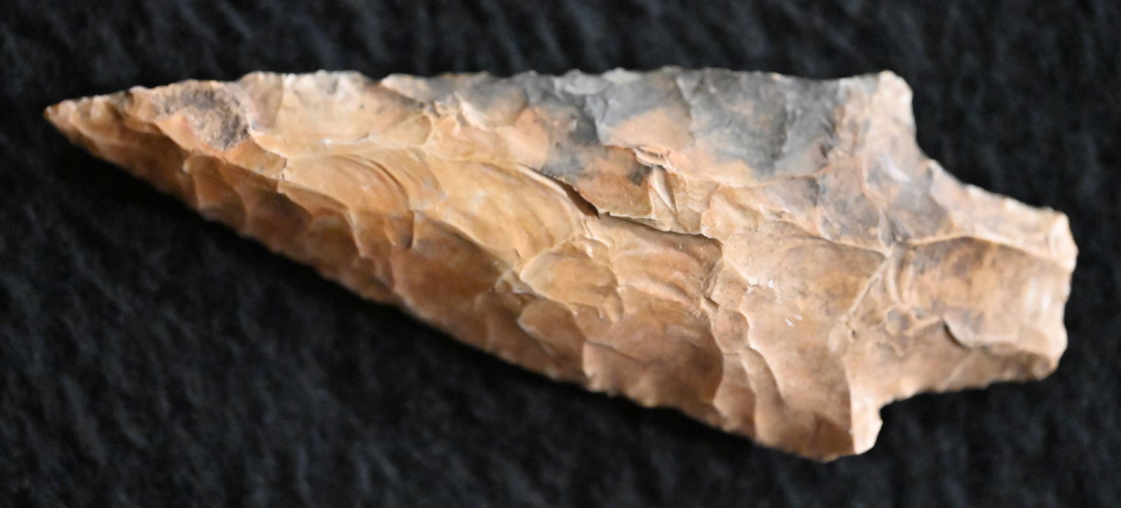 3 7/16" Creek Stained Dickson Found in Pettis Co. Missouri. (1 of 10)