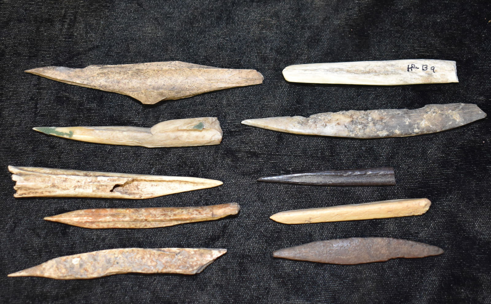 10 Bone Awls/Drills Found in Clark Co. Missouri by Dale Roberts longest is 3 15/16 inches.: 10 Bone Awls/Drills Found in Clark Co. Missouri by Dale Roberts longest is 3 15/16 inches. Key words: Ancient, Prehistoric Native American Indian Artifacts, Arrowheads, Stone Tools