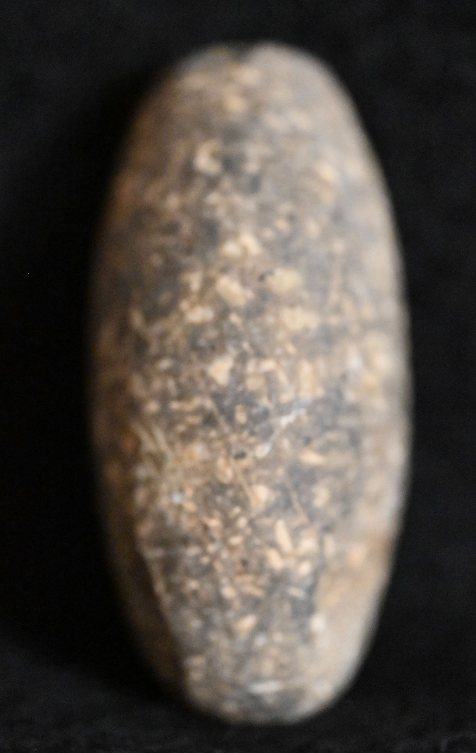 2 1/2" Speckled Granite Boat Stone Found in Lincoln Co. Missouri Ex: Joe Didden, Matt Lay (1 of 6)