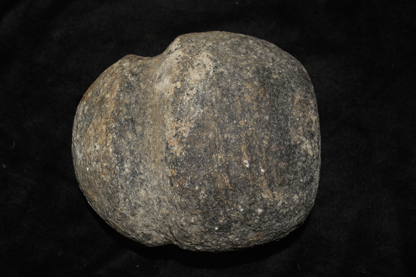 Large 5 5/8" Grooved Granite Maul found in Nebraska (1 of 7)