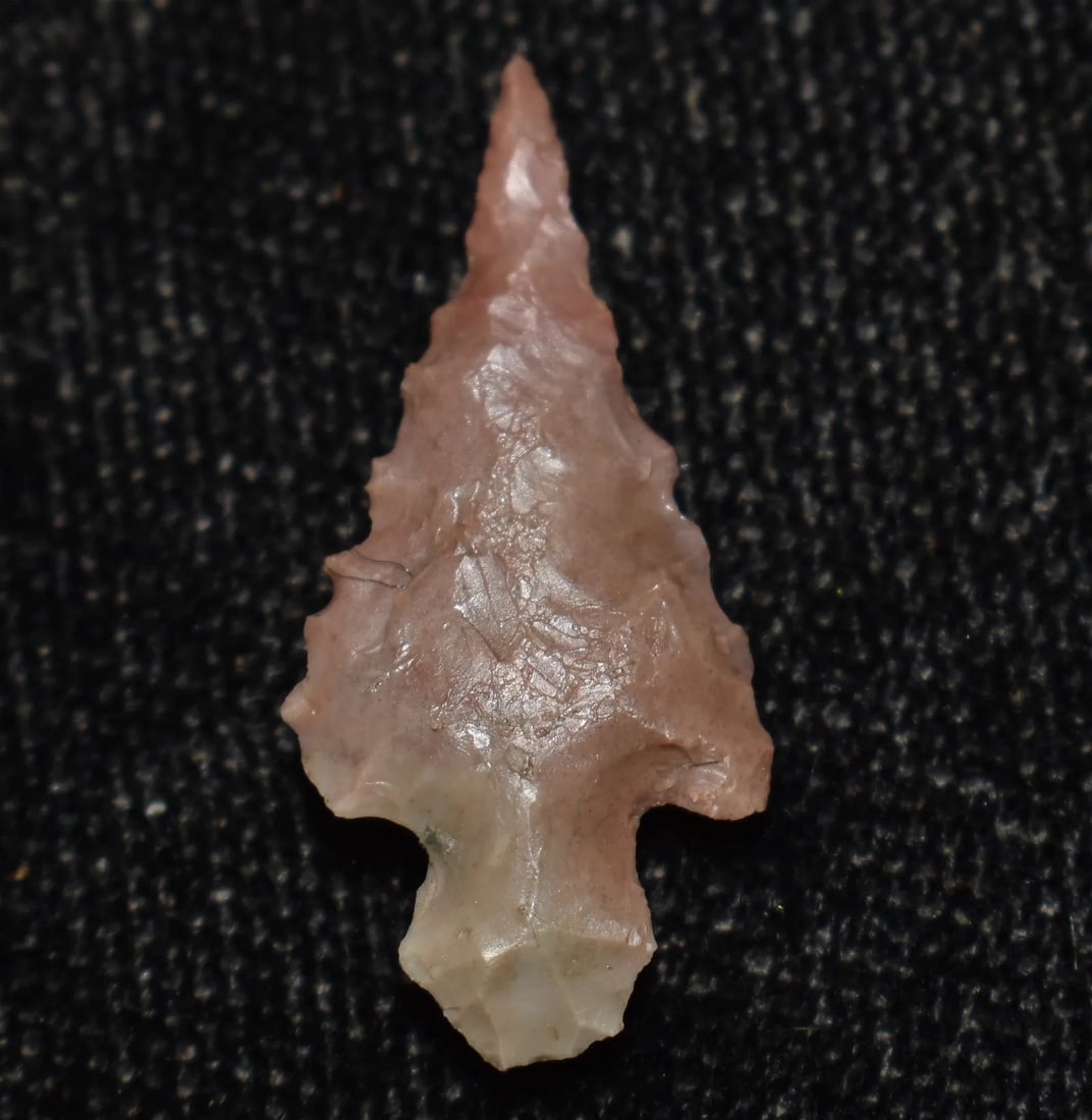 7/8" Sequoyah Bird Point found in Scottland County, Missouri by Rodney Gray (1 of 5)
