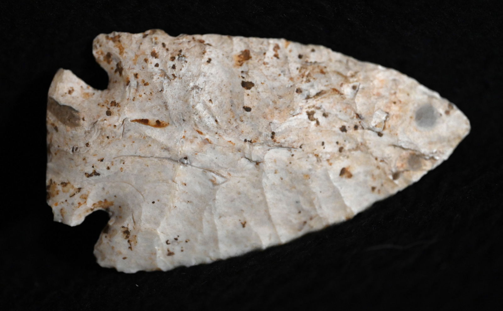 2 15/16" Dovetail Found in Adair Co. Missouri Ex: John Bender, Matt Lay Collections. (1 of 10)