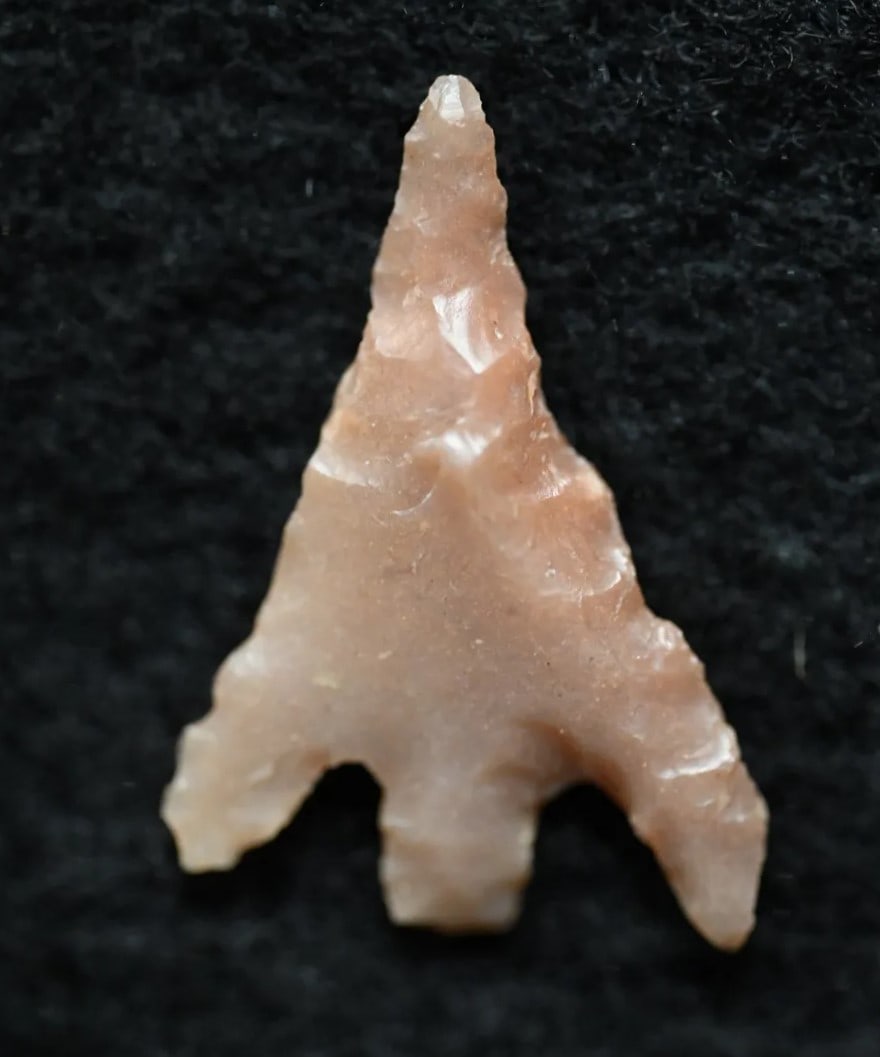 Columbia Plateau 15/16" Found in Washington and made out of Agate comes with a Ryan Keele COA Ex: (1 of 6)