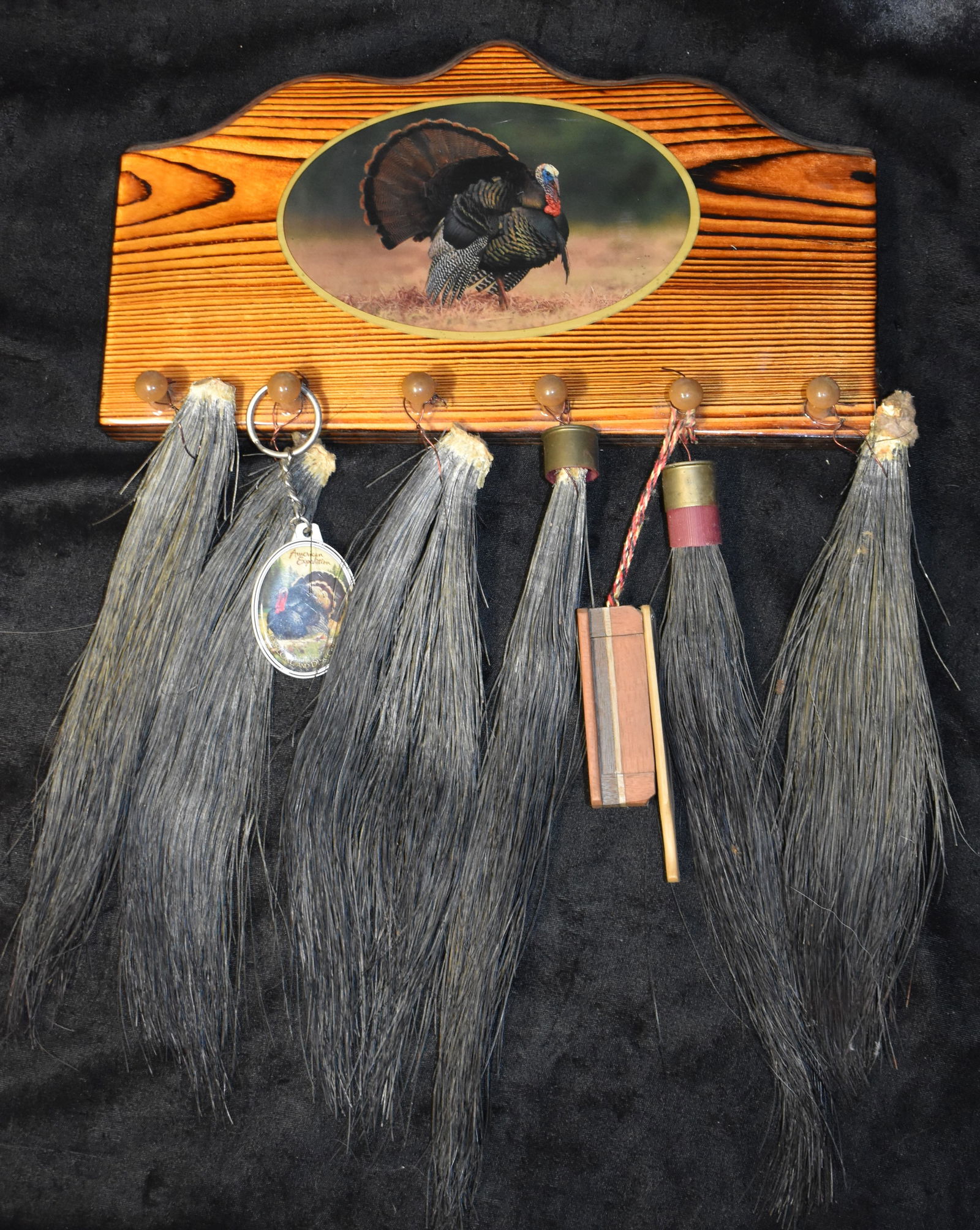 Turkey Beard Display w/ 6 Mature Turkey Beards Measuring 9 1/2" to 11" (1 of 7)