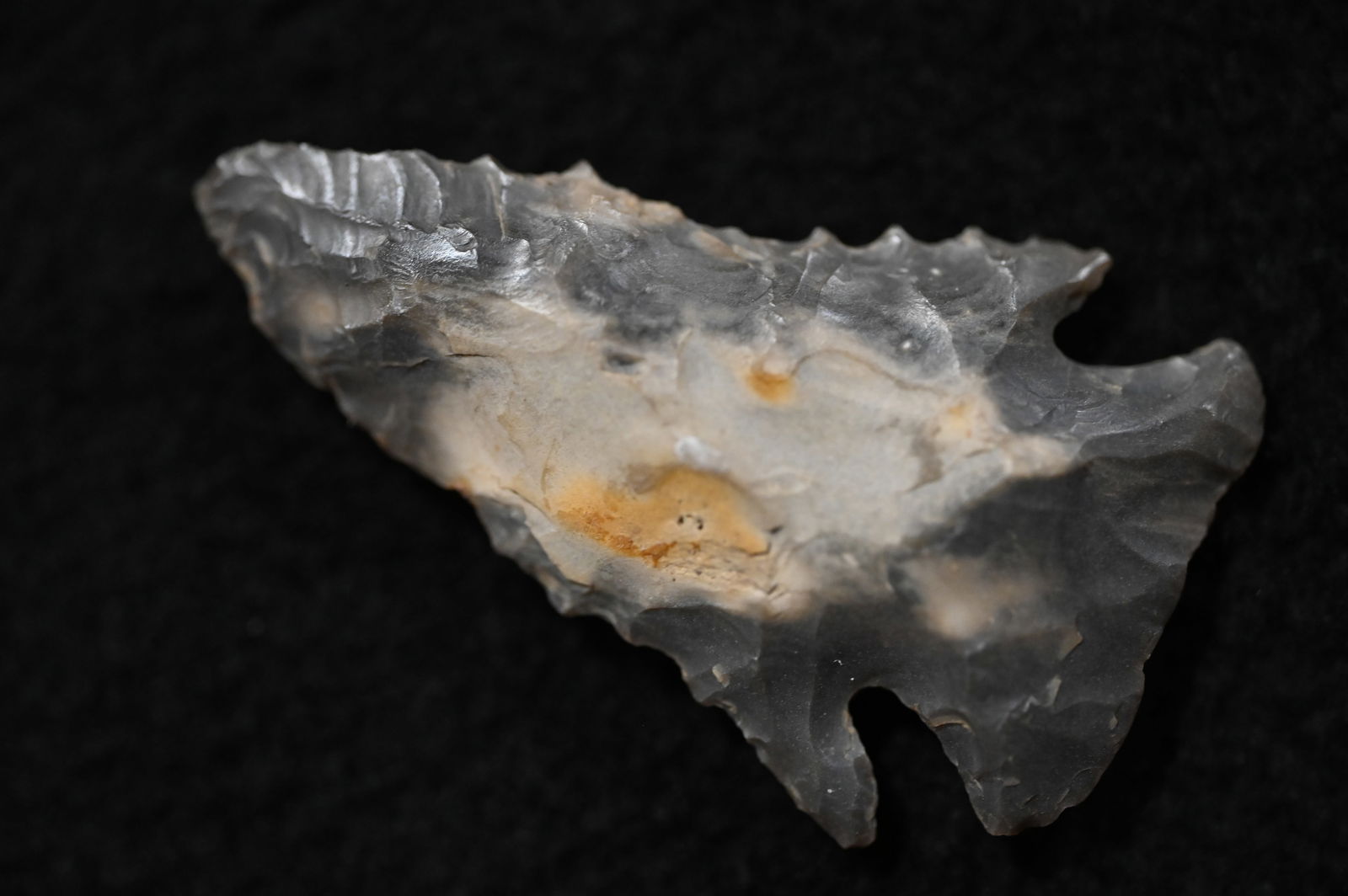 1 7/8" Pine Tree Found in Kentucky Ex: Walt McIntyre Collection. (1 of 10)