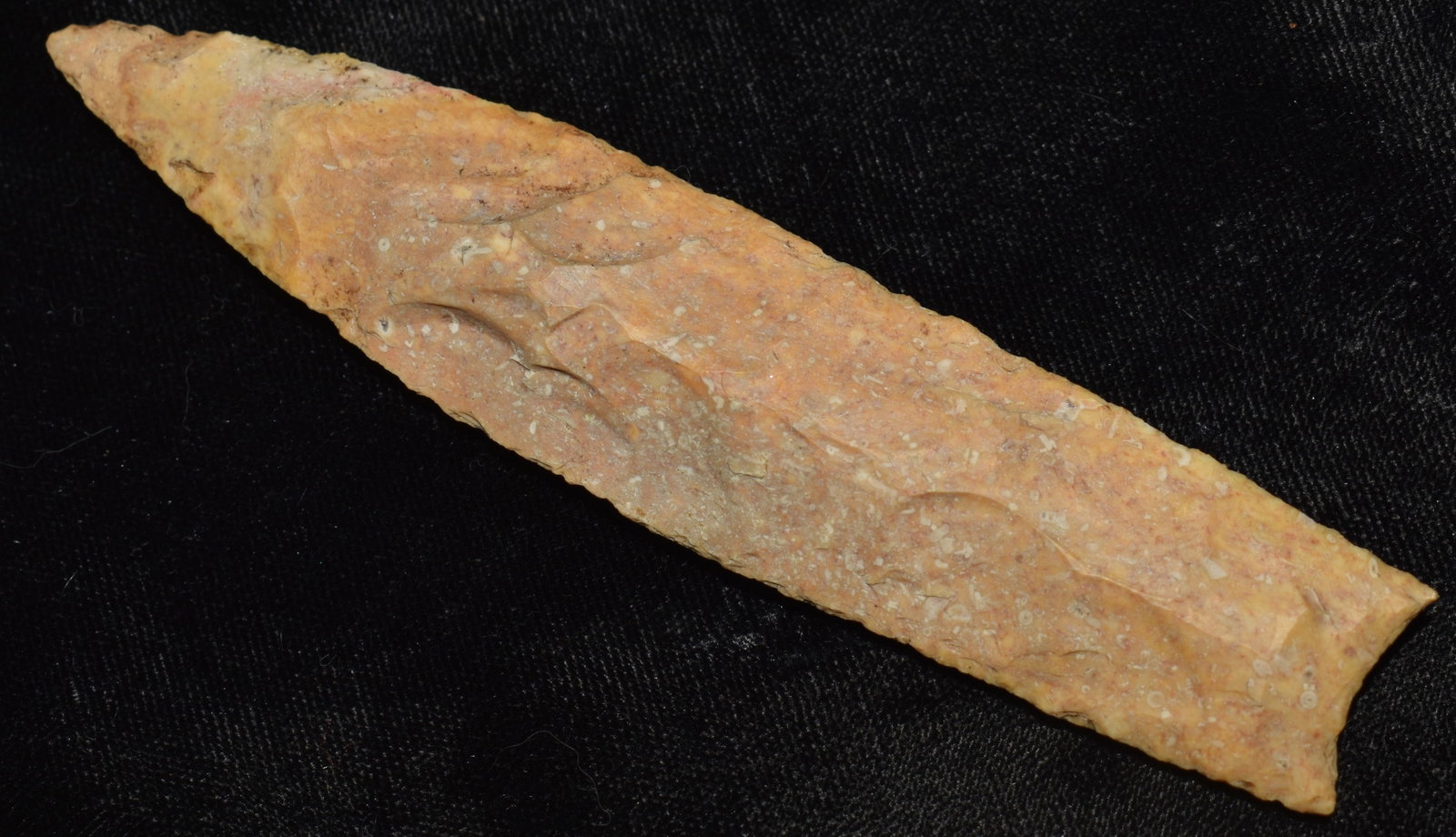 4 5/8"Creek Patinated Sedalia found in Pettis County, Missouri w/ COA: 4 5/8"Creek Patinated Sedalia found in Pettis County, Missouri w/ Motley COA. Nicely made Sedalia. Ex George Wolf Collection.