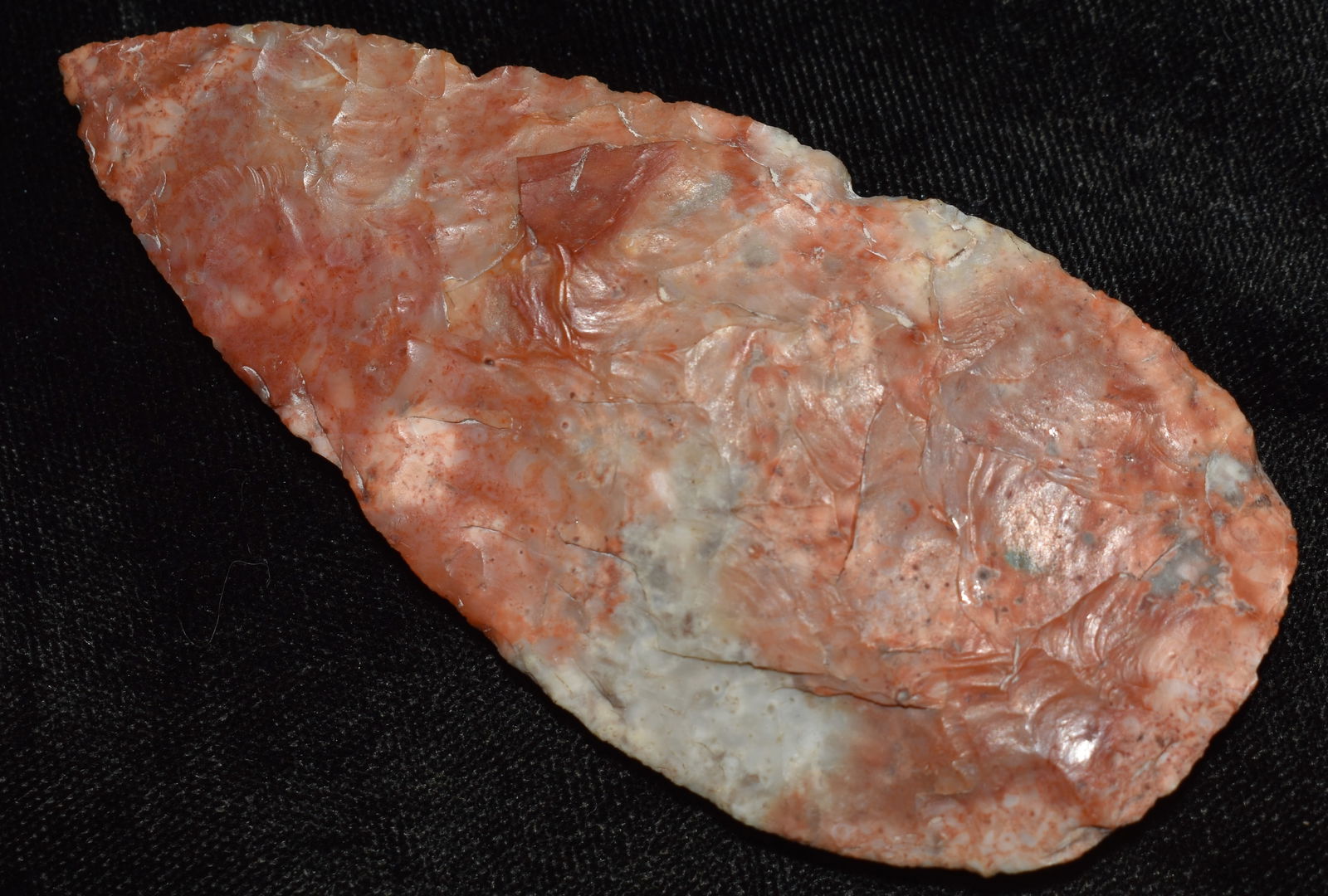 3 5/8" Colorful Gibson Blade found in Pettis County, Missouri: 3 5/8" Colorful Gibson Blade found in Pettis County, Missouri. Ex George Wolf Collection.