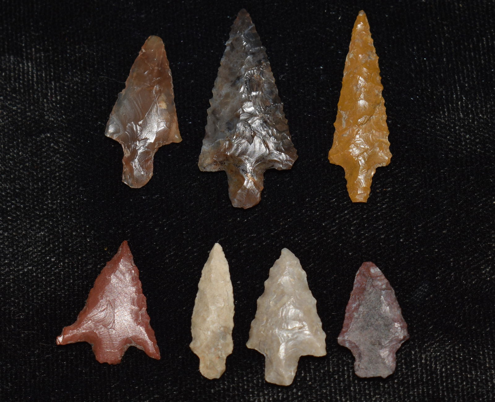 7 Arrowheads found on the Decker Site in Fremont County, Wyoming in 1963 (1 of 6)