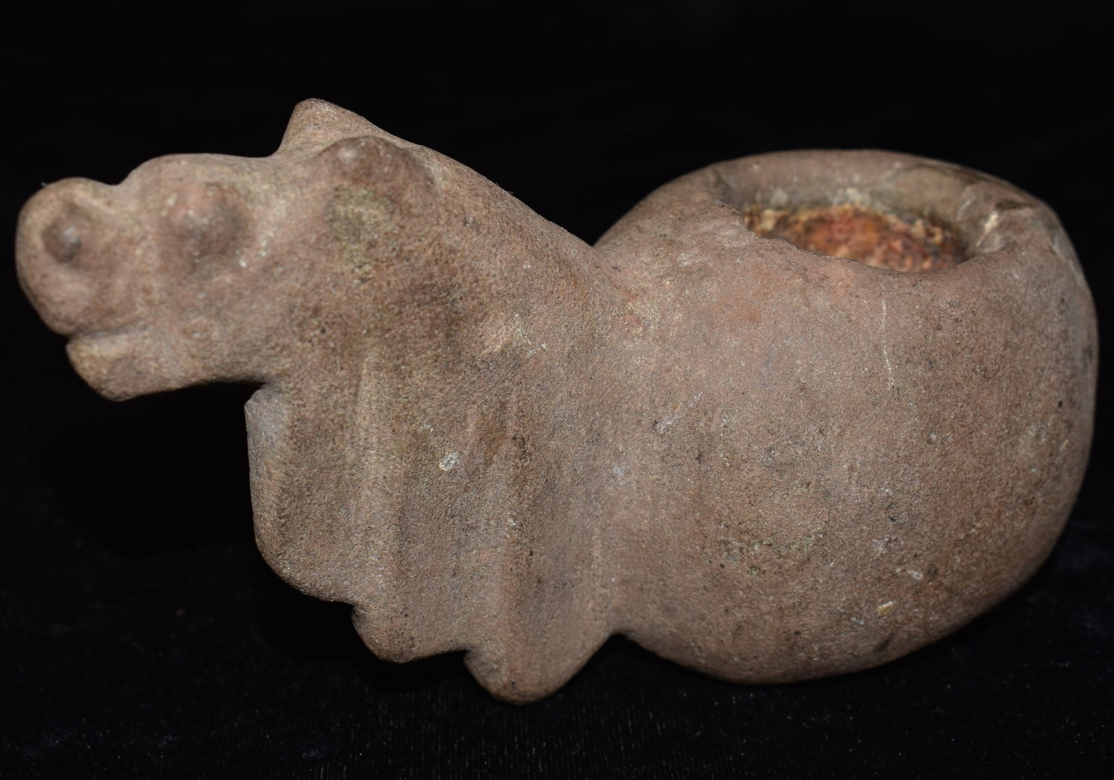 Nicely Developed 5 3/4" Pre-Columbian Incan Canopa found in Central America: Nicely Developed 5 3/4" Pre-Columbian Incan Canopa found in Central America. Nice features with a developed neck representing a full growth of hair, lengthy tail and facial features clearly defined. T
