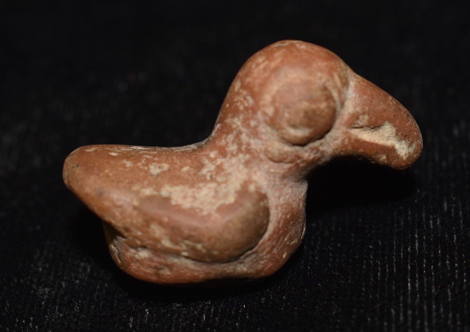 Pre-Columbian Stone Toucan found in Central America - Peru (1 of 7)