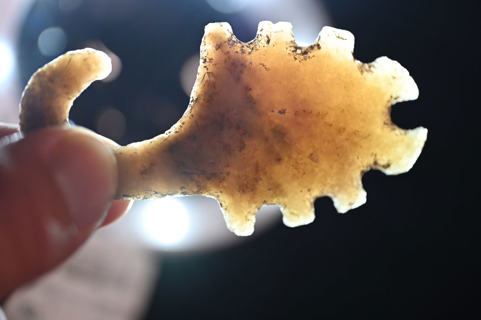 3 1/4" Translucent Pre-Columbian Mayan Scorpion Eccentric.  Extremely well made out of a high grade (1 of 12)