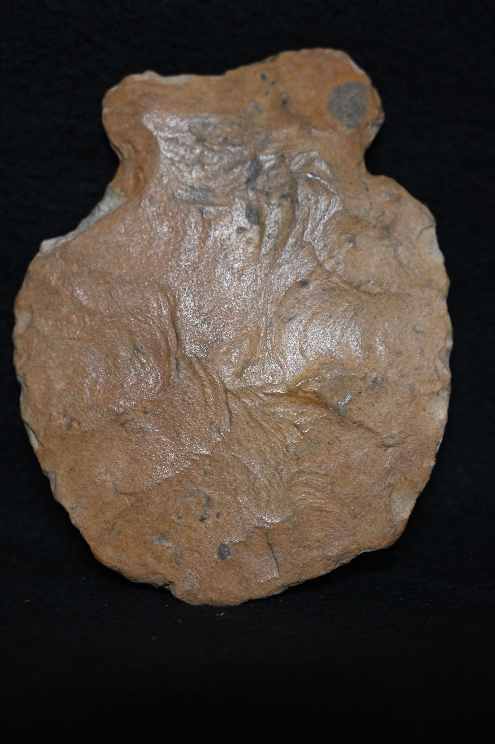 5 1/2" Notched Spade/Hoe Found in Lee Co. Iowa.  Heavy creek stain Ex: James Vroom Collcetion. (1 of 8)