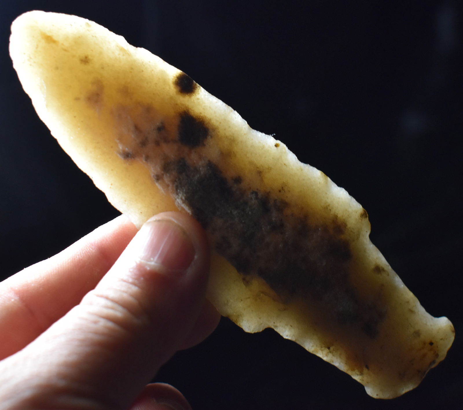 5 5/16" Hixton Eared Scottsbluff (Cody Complex) found in Jackson County, WI w/ Keele COA (1 of 11)