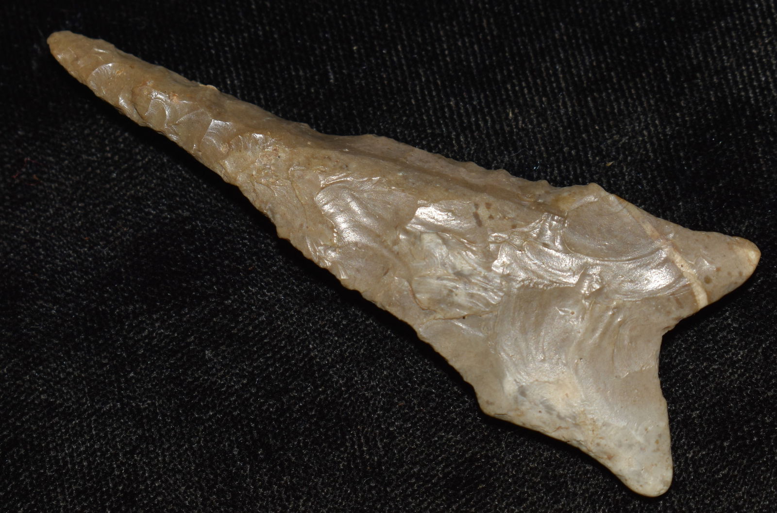 2 7/8" Dalton Drill found in Ozark County, Oklahoma by Moses Thompson (1 of 7)