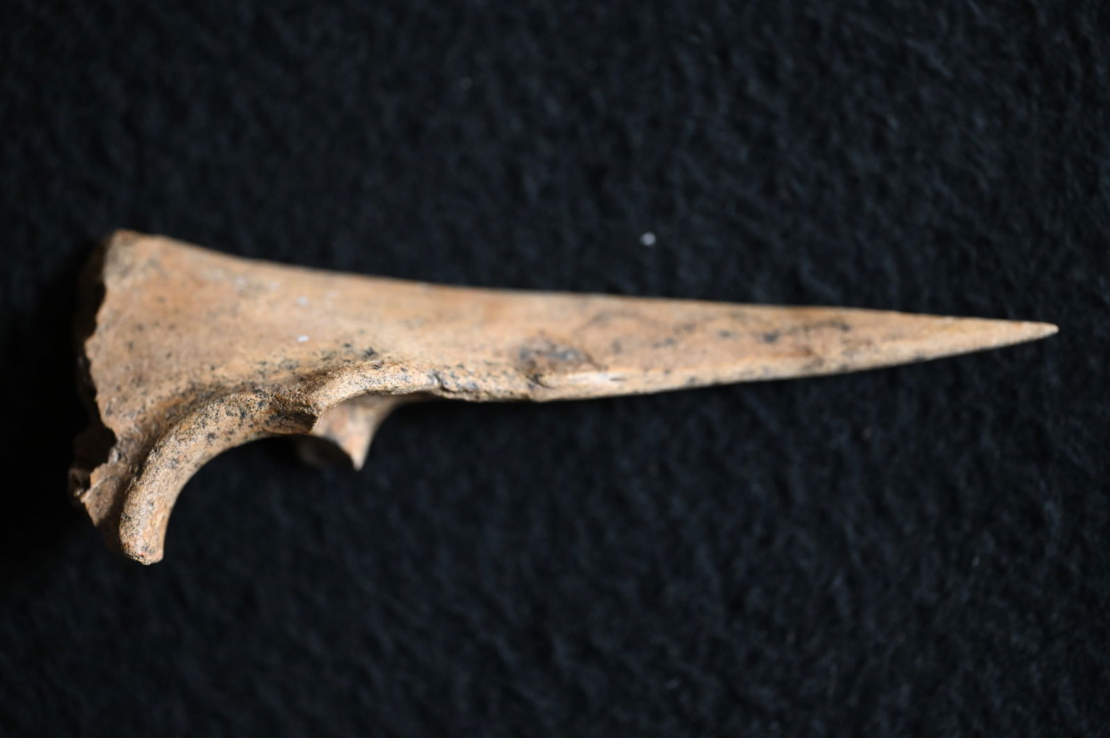 4 5/16" Bone Trigger Awl Found in Pulaski Co. Illinois Ex: Drake Terwelp Collection.: 4 5/16" Bone Trigger Awl Found in Pulaski Co. Illinois Ex: Drake Terwelp Collection.