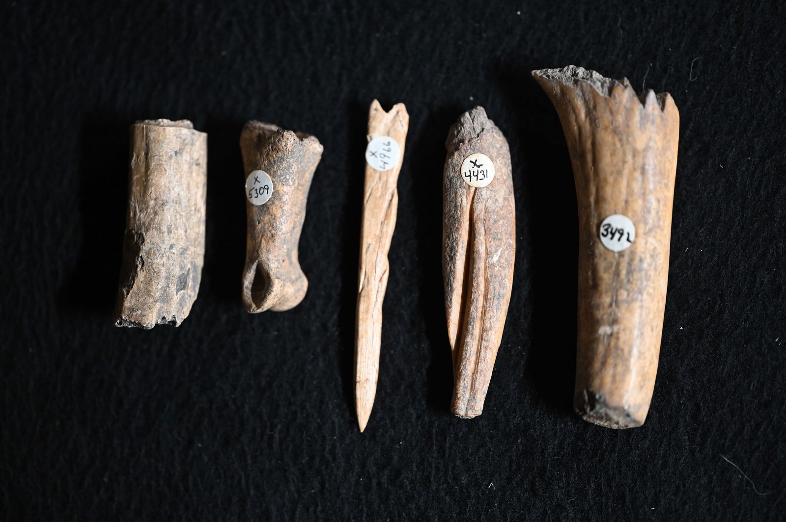 5 Bone/Antler Tools Found in Kentucky Longest is 3 5/16" Ex: Drake Terwelp Collection. (1 of 4)
